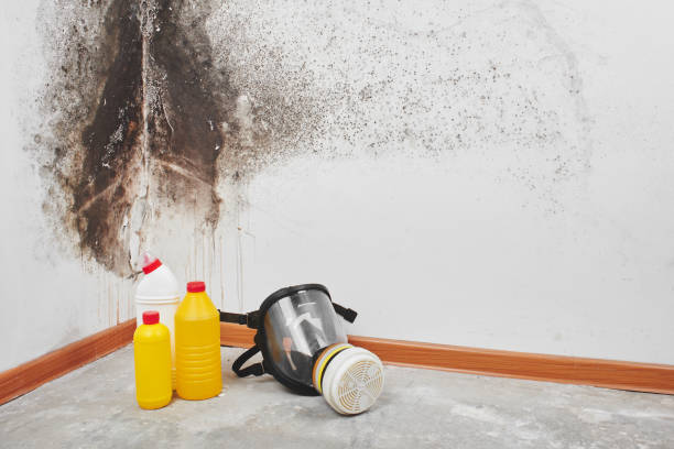 Best Mold Cleaning Services  in Portage Lakes, OH