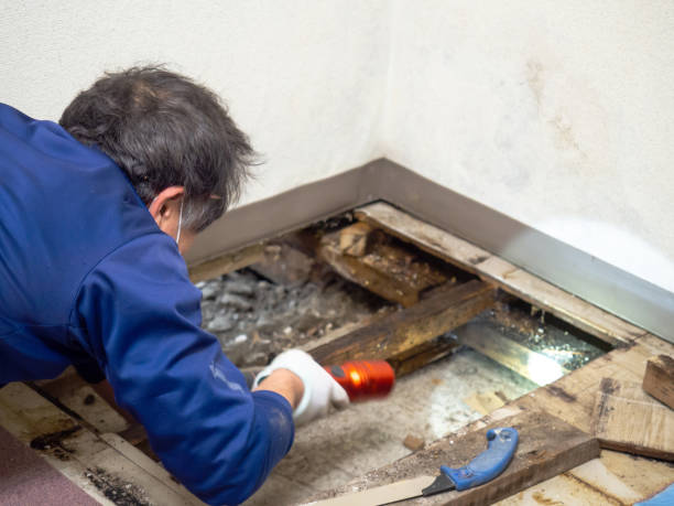 Mold Testing and Removal in Portage Lakes, OH