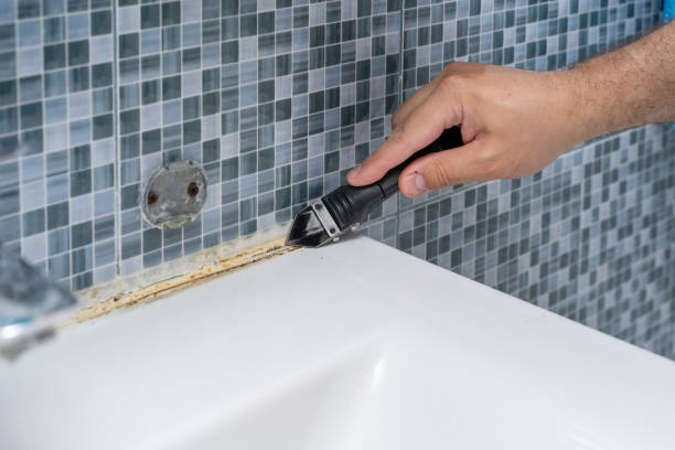 Best Attic Mold Removal  in Portage Lakes, OH