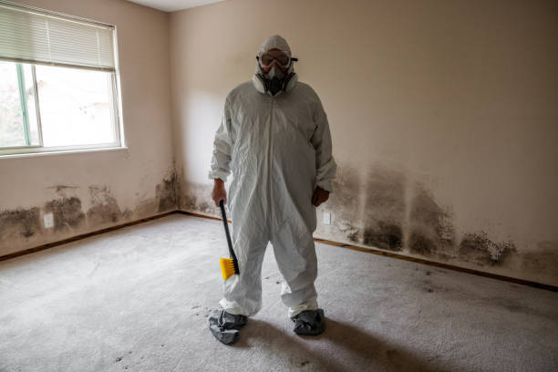 Office Mold Removal Services in Portage Lakes, OH